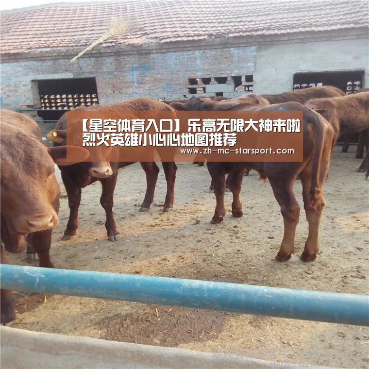 星空体育网址